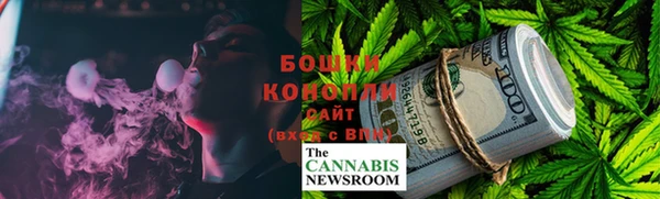 индика Лихославль