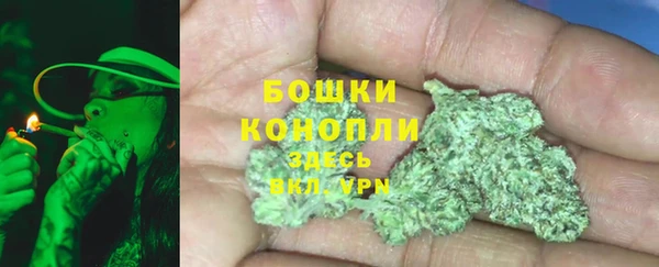 индика Лихославль