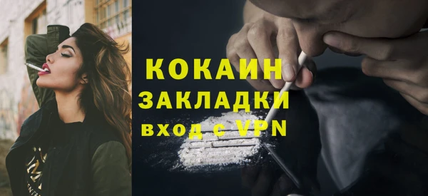 индика Лихославль