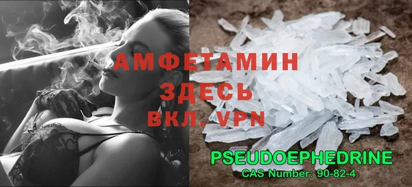 индика Лихославль
