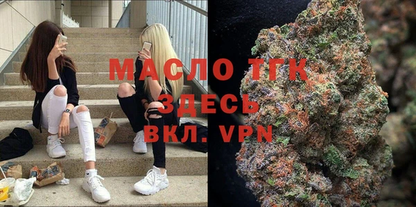 индика Лихославль