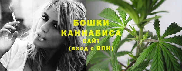индика Лихославль
