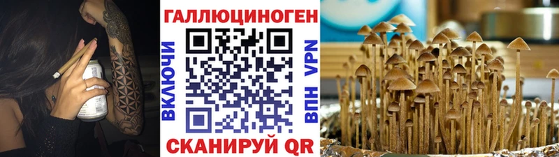 Галлюциногенные грибы прущие грибы Слободской