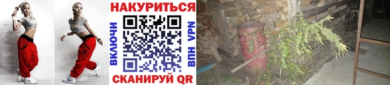 Купить закладки  Слободской  Канабис гибрид 